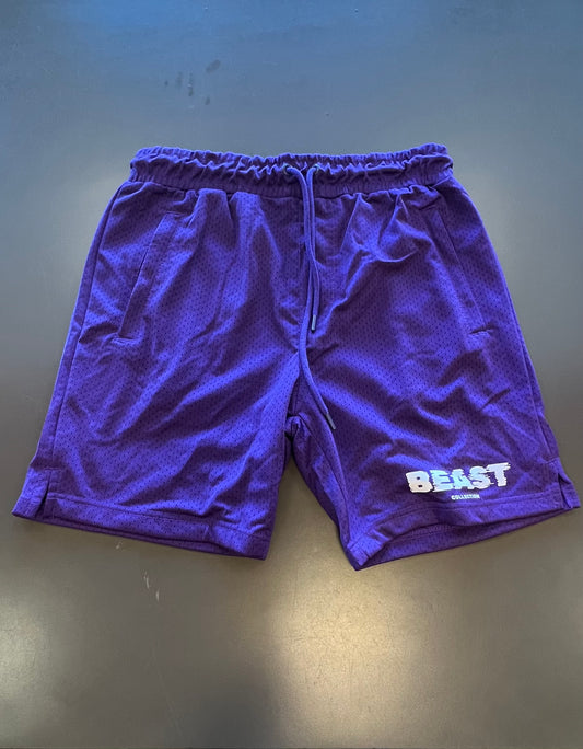 Mesh shorts