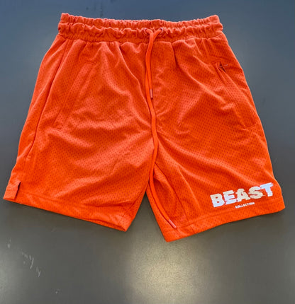 Mesh shorts